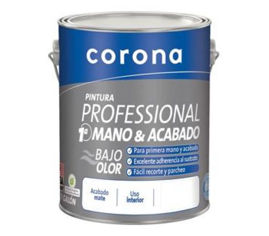 PINTURA PROFESSIONAL 1A MANO 5 GAL