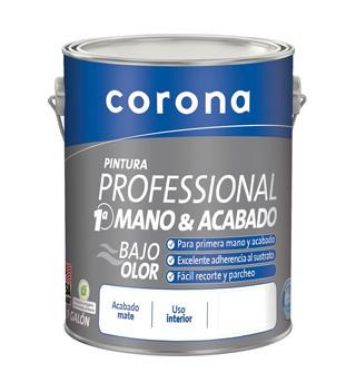 PINTURA PROFESSIONAL 1A MANO 5 GAL