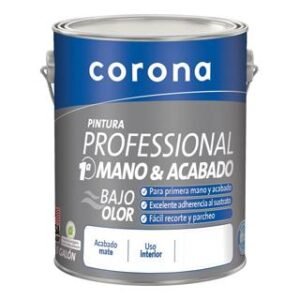 Pintura Professional 1A Mano 1 Gal